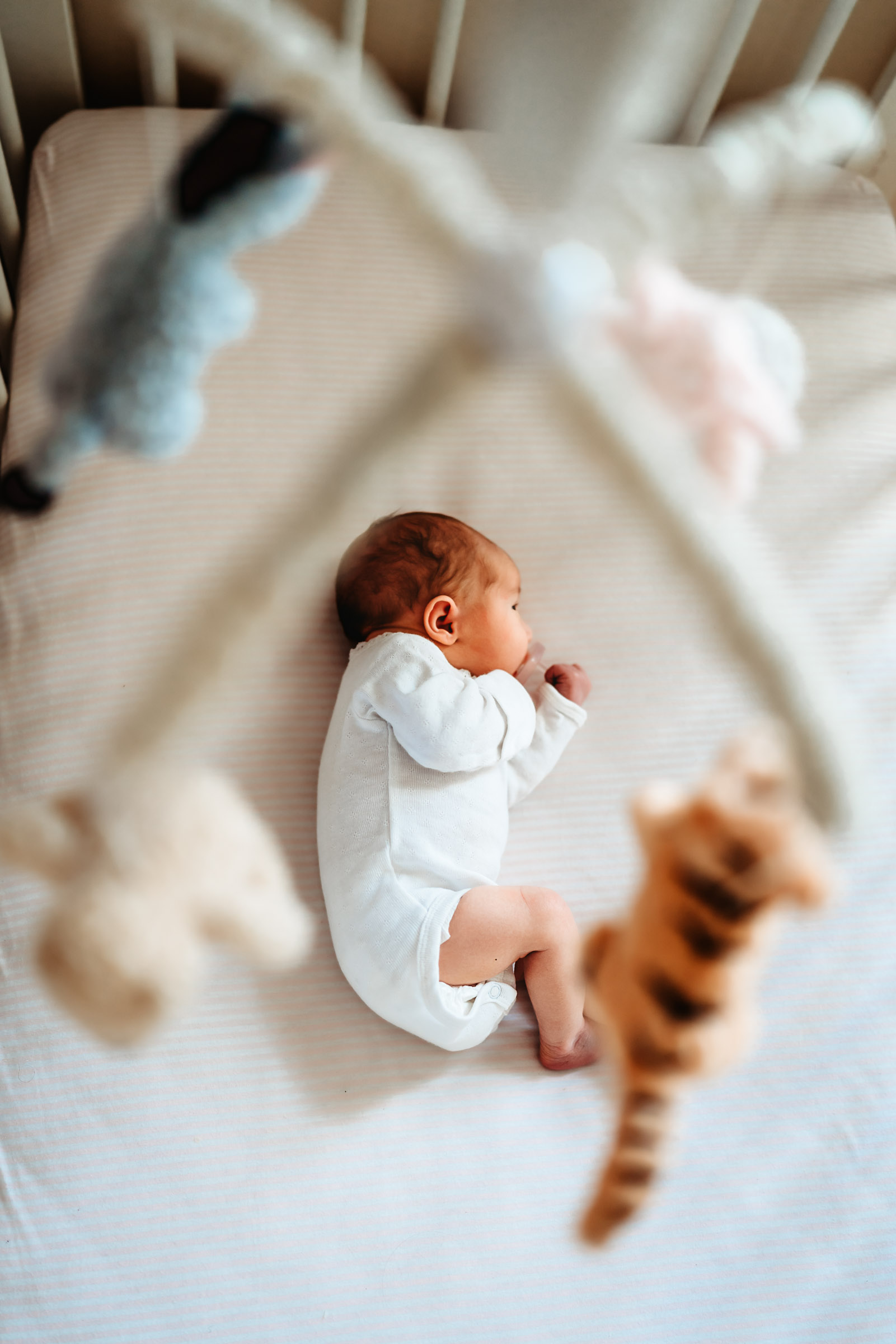 Looking down at a newborn baby wearing a white onesie and laying in her crib during a San Diego in-home lifestyle newborn session by Love Michelle Photography