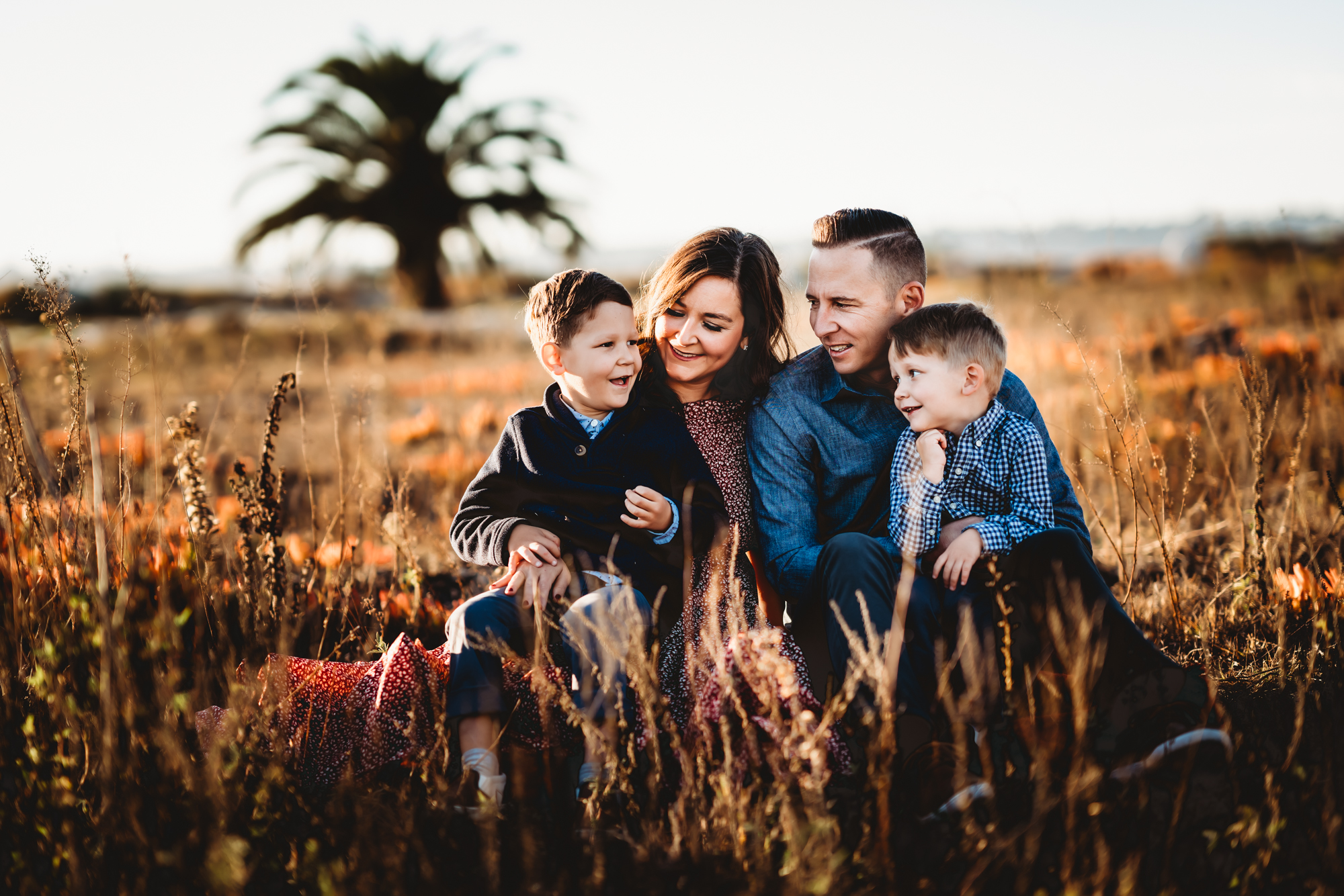 A family of 4 sitting in a golden field on Coronado beach during a San Diego fall family photo session by Love Michelle Photography