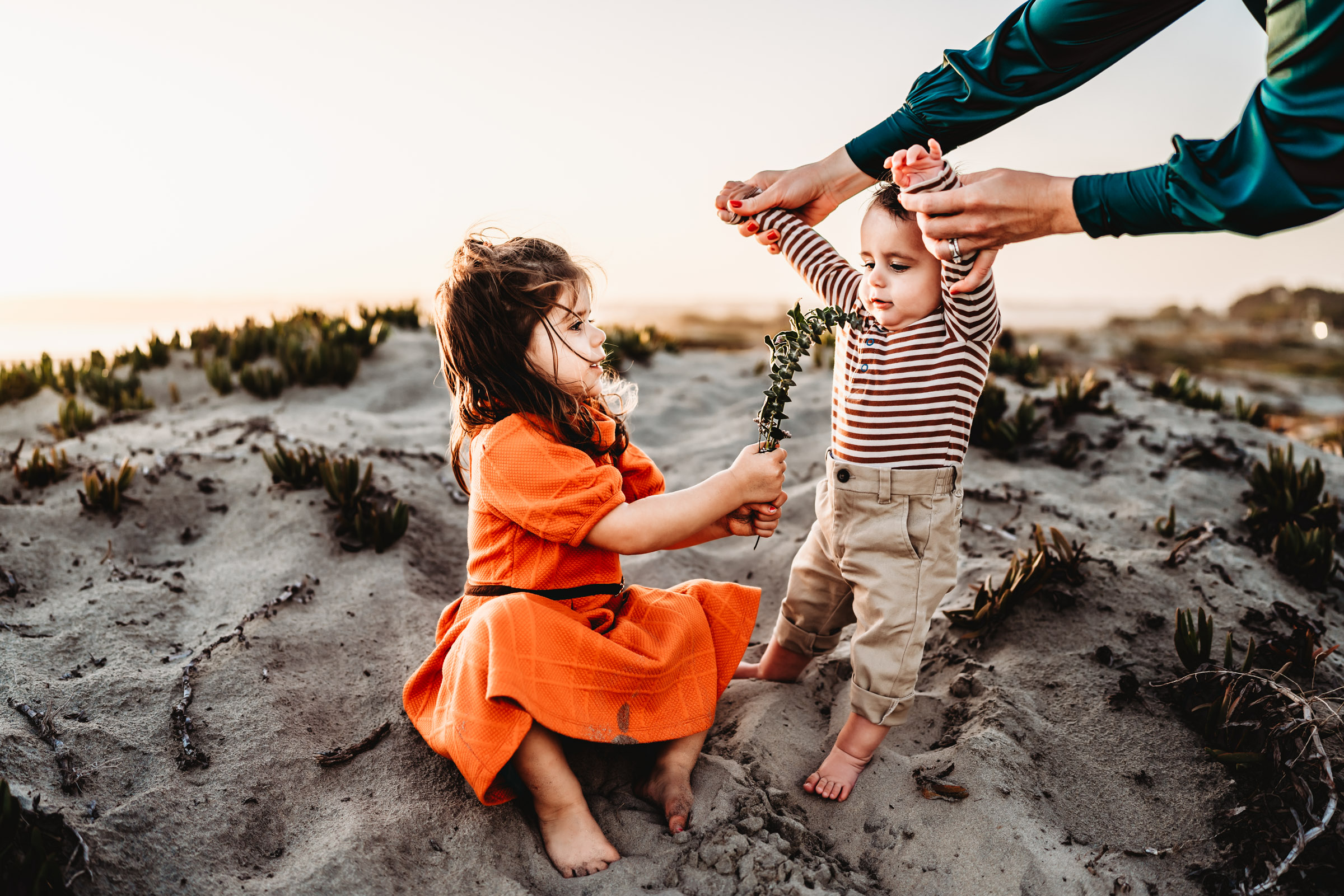 Little girl sitting on a sand dune and giving her baby brother a flower during a lifestyle family photography session on Coronado Beach.